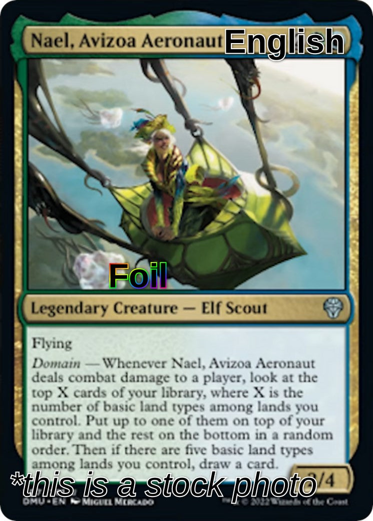 Nael, Avizoa Aeronaut