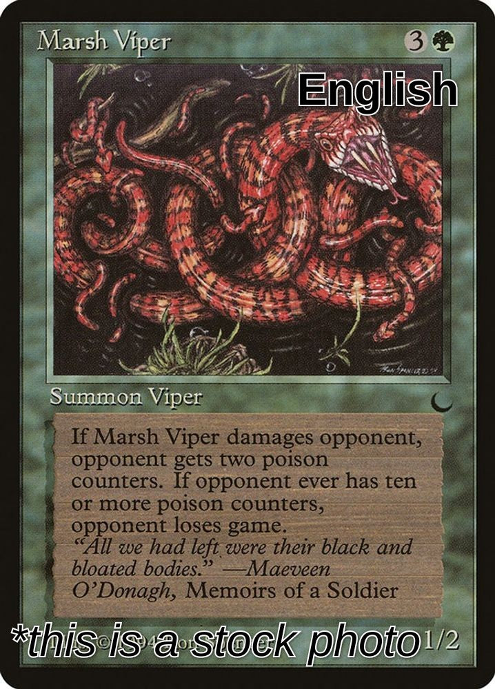 Marsh Viper