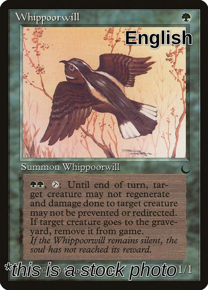 Whippoorwill