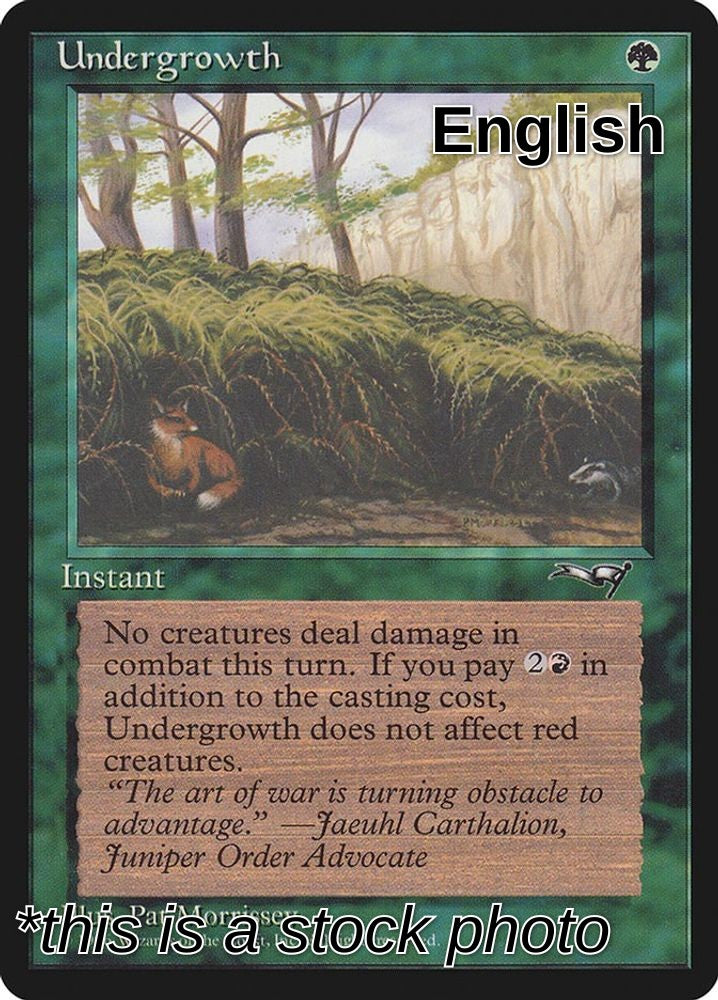 Undergrowth
