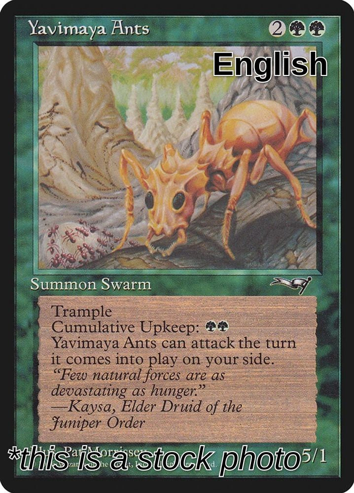 Yavimaya Ants