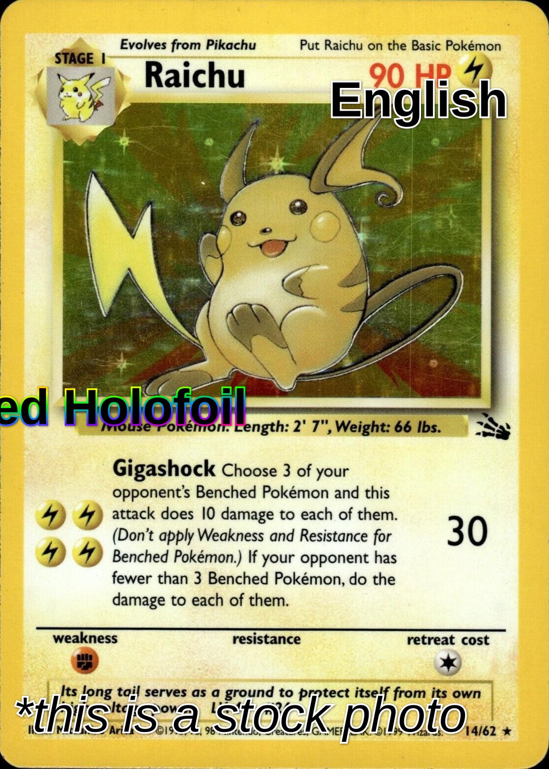 Raichu (14)