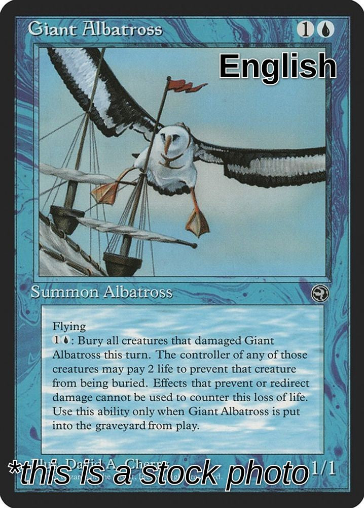 Giant Albatross