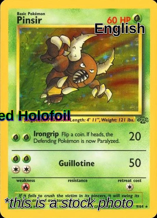 Pinsir (9)