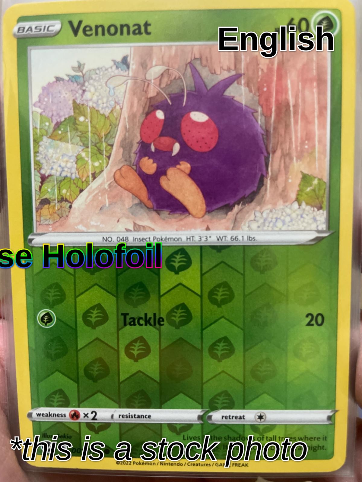 Venonat