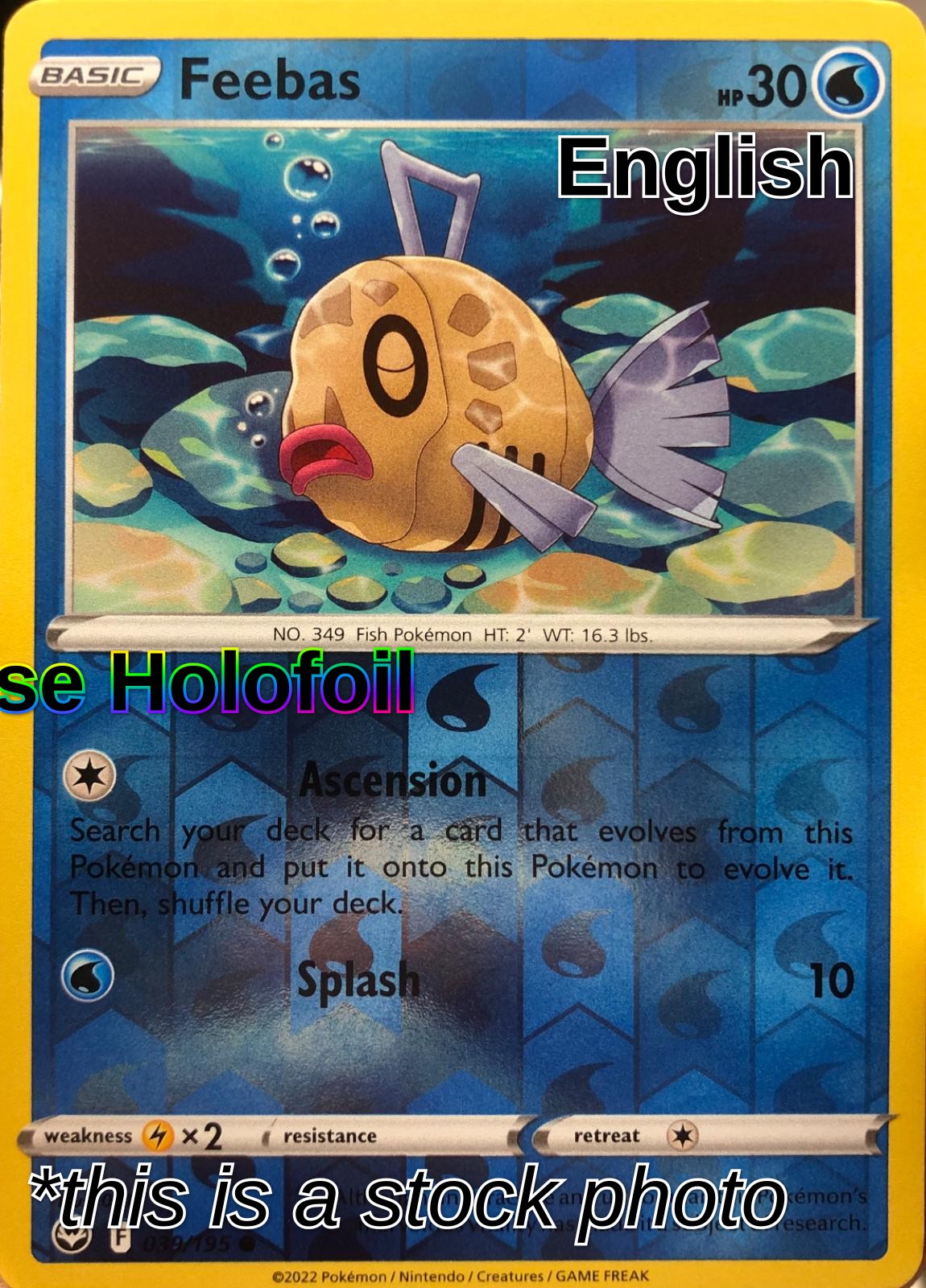 Feebas
