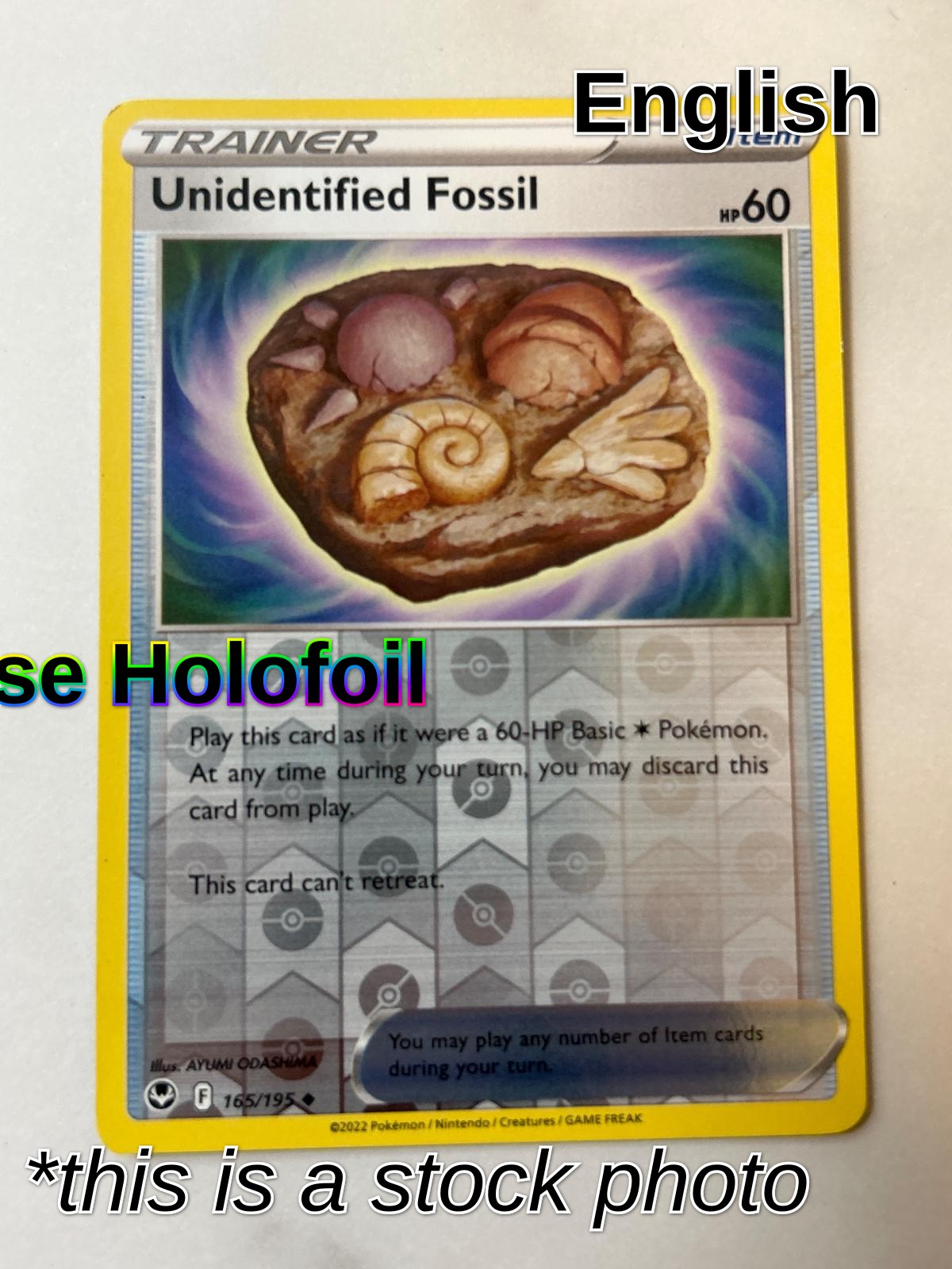Unidentified Fossil