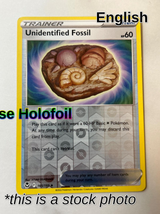 Unidentified Fossil