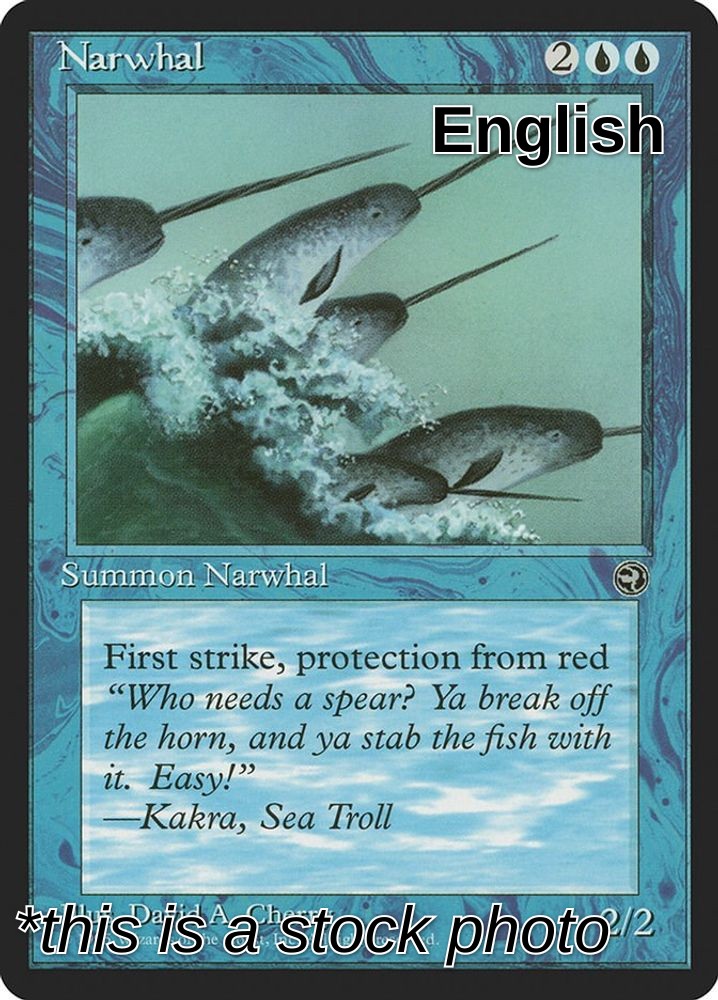 Narwhal