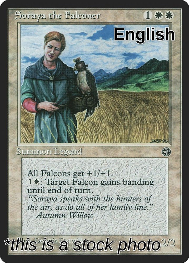 Soraya the Falconer