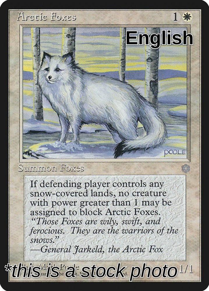 Arctic Foxes