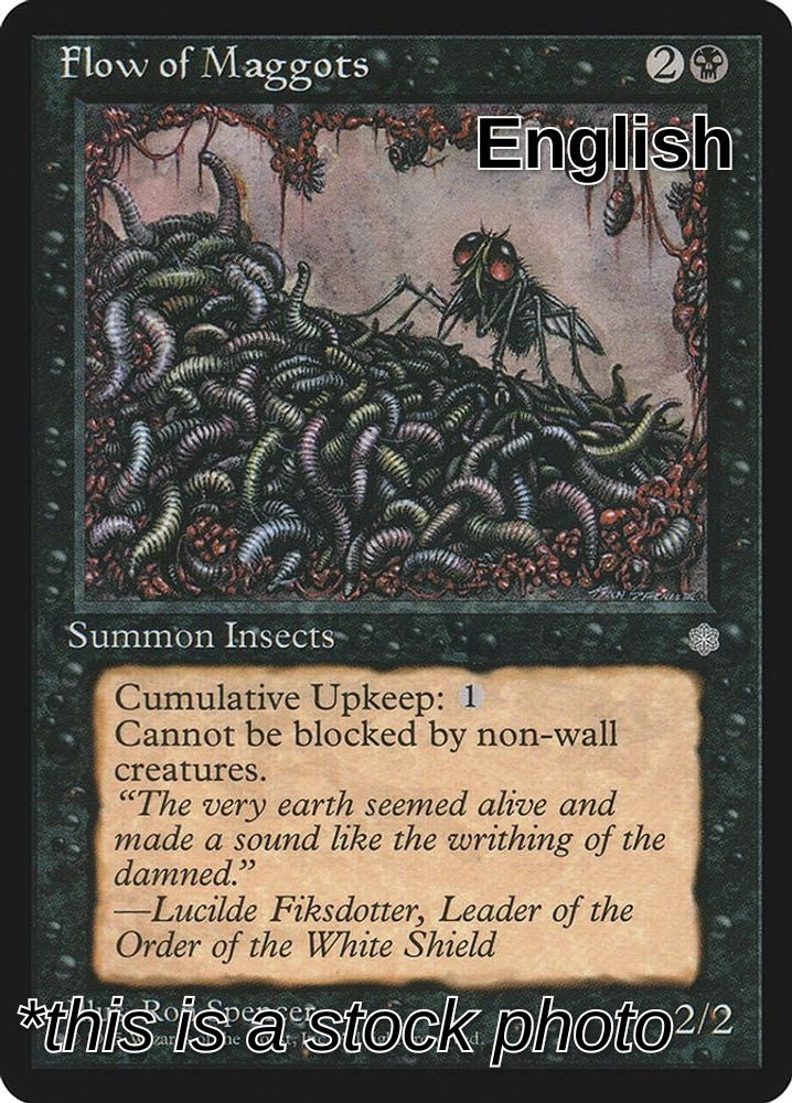 Flow of Maggots