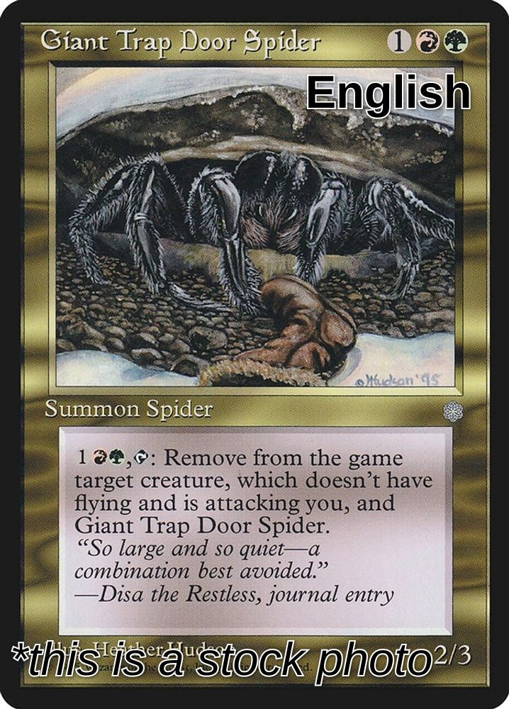 Giant Trap Door Spider