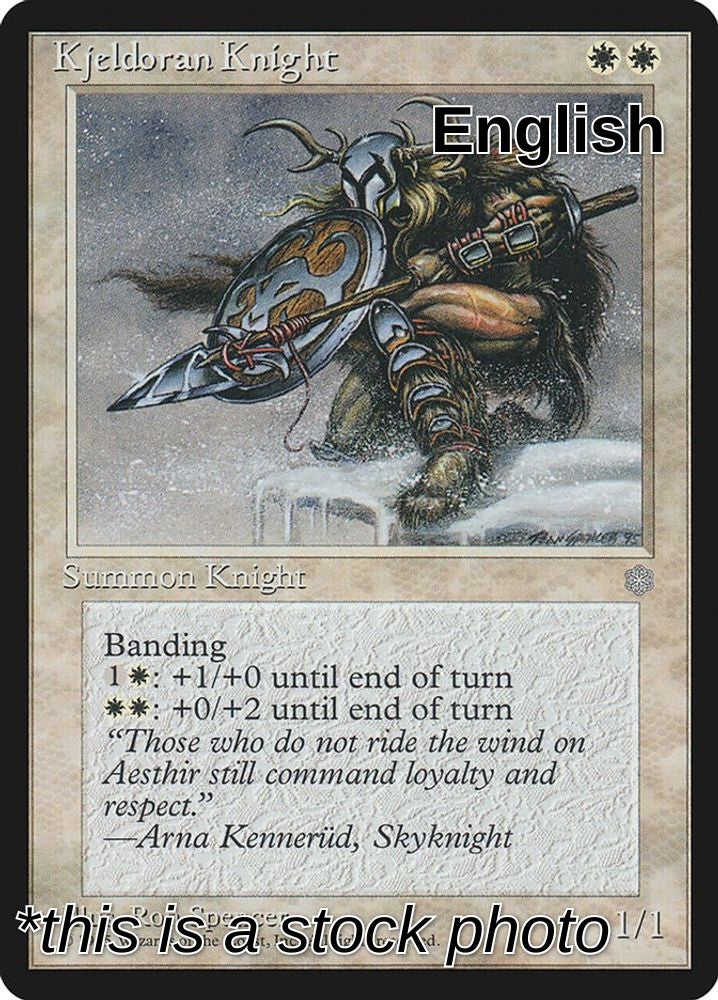 Kjeldoran Knight