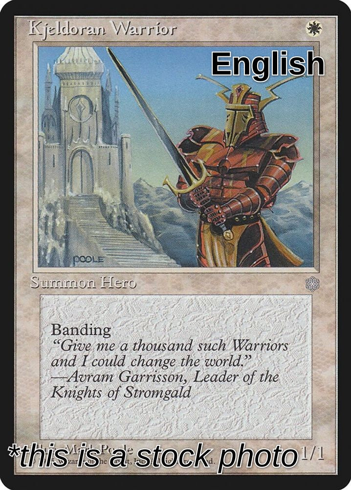 Kjeldoran Warrior