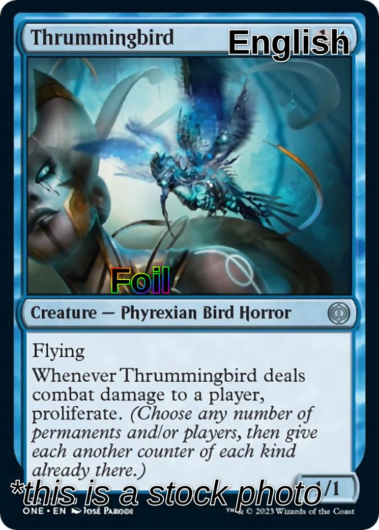 Thrummingbird