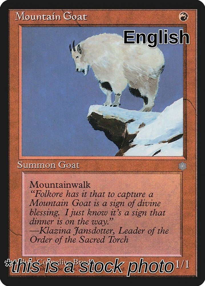 Mountain Goat