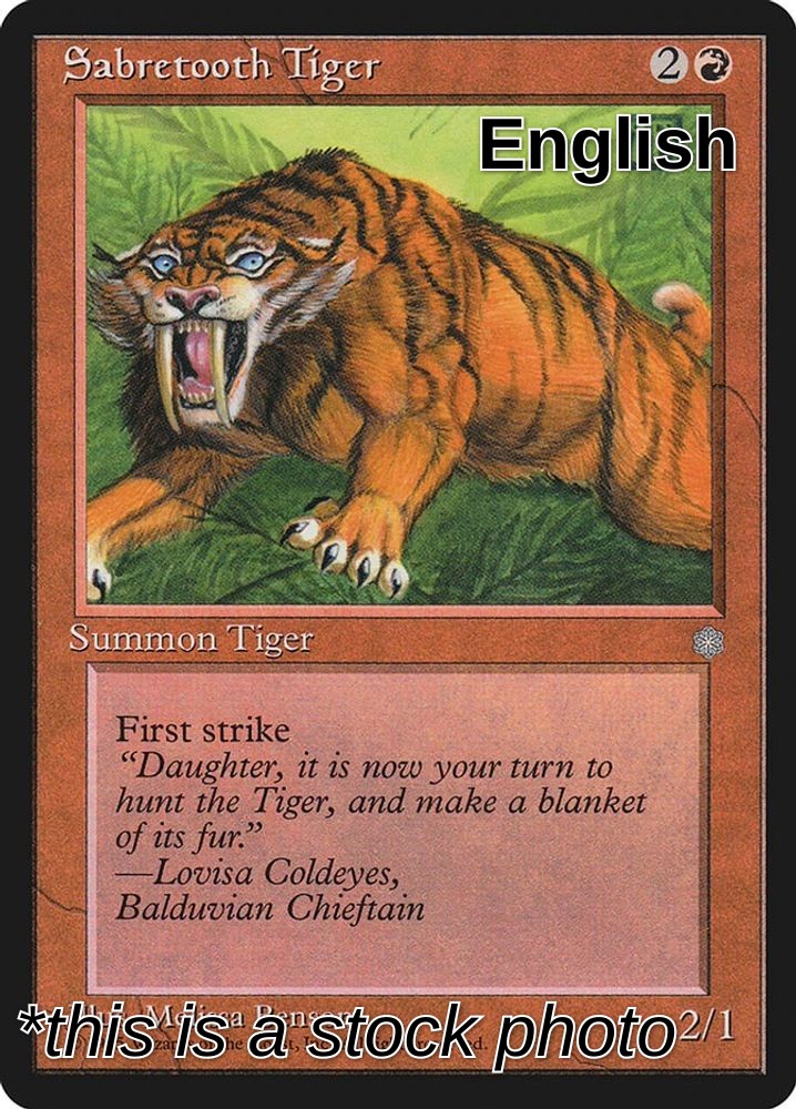 Sabretooth Tiger