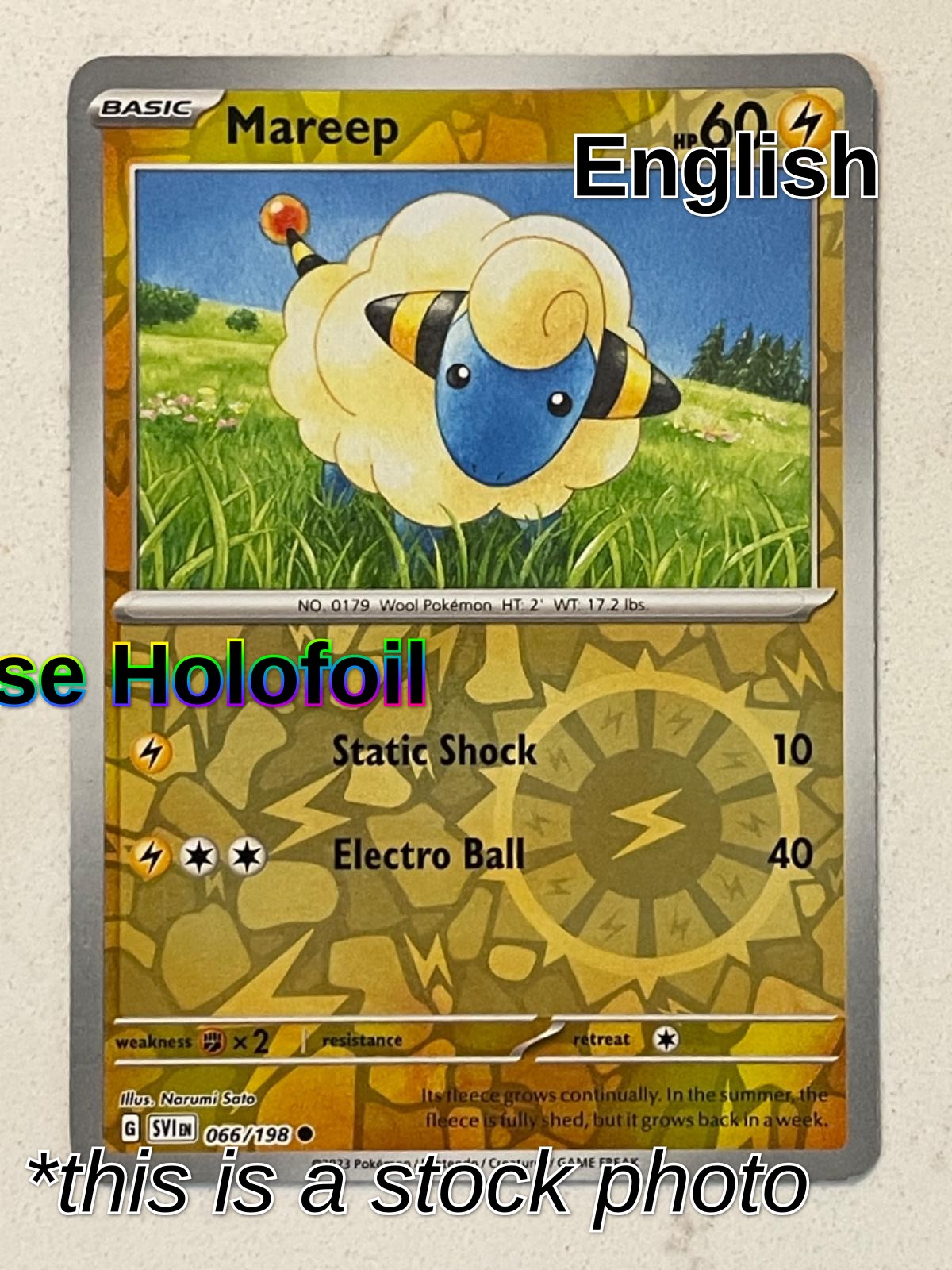 Mareep