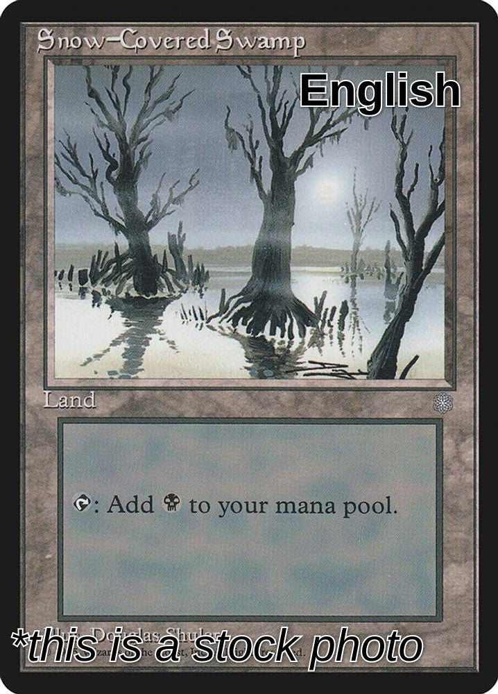 Snow-Covered Swamp