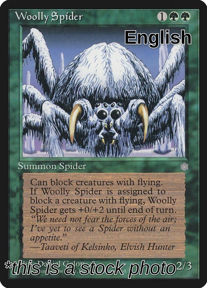 Woolly Spider