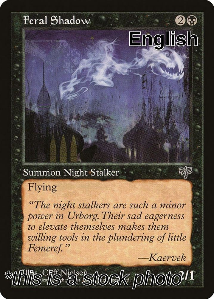 Feral Shadow