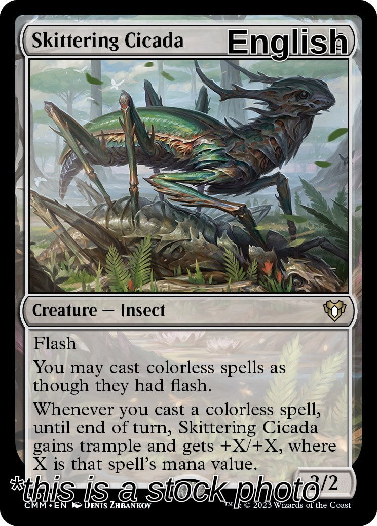 Skittering Cicada