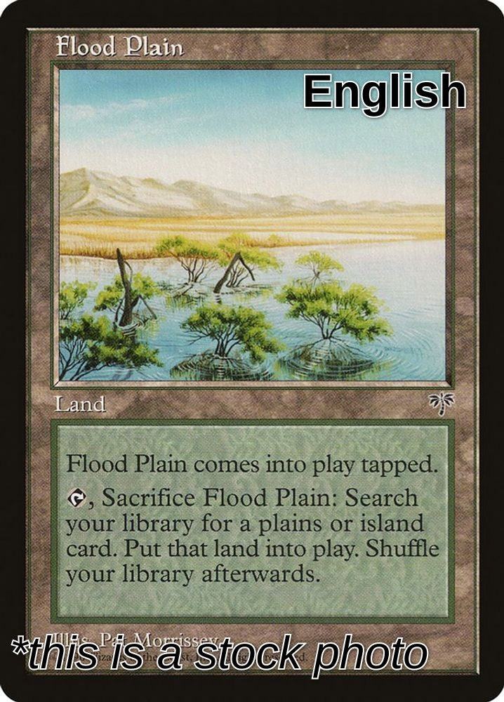 Flood Plain