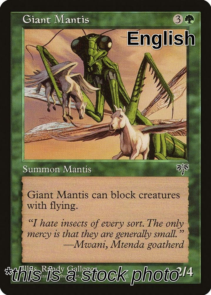 Giant Mantis