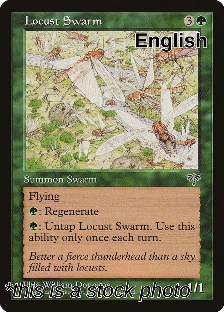 Locust Swarm