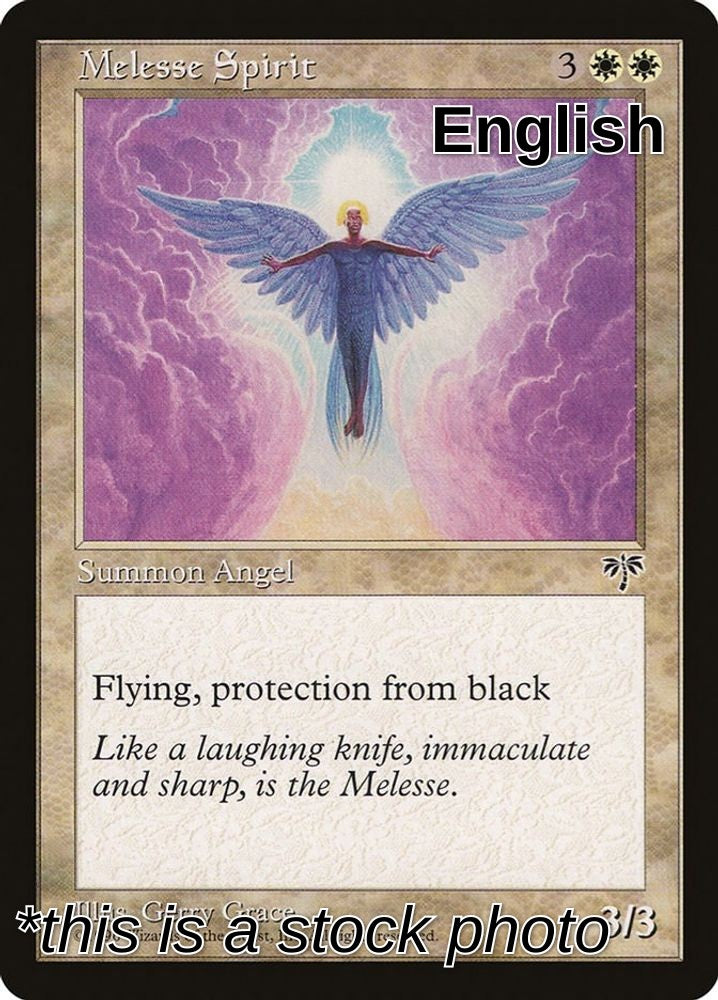 Melesse Spirit
