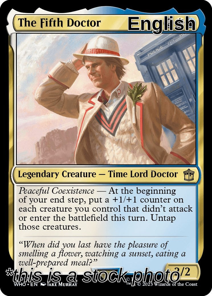 The Fifth Doctor