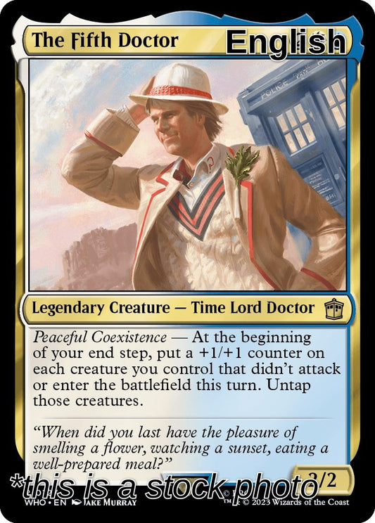 The Fifth Doctor