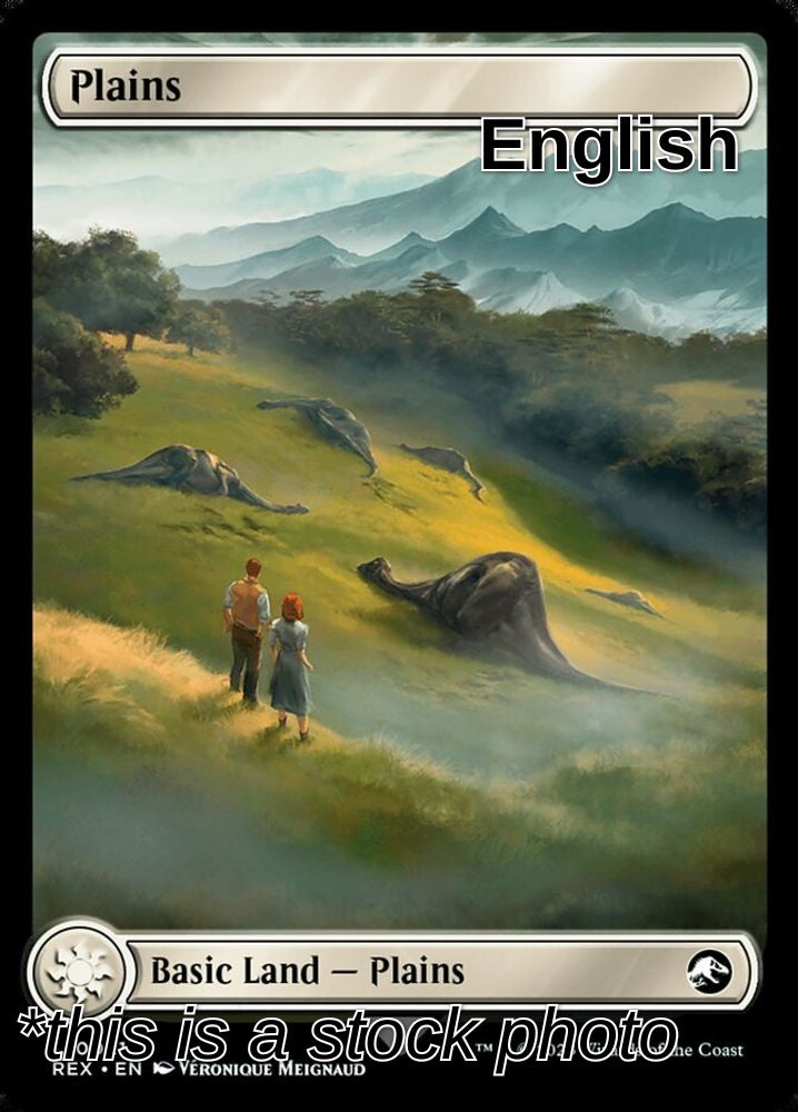 Plains (Back)