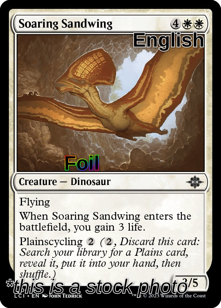 Soaring Sandwing
