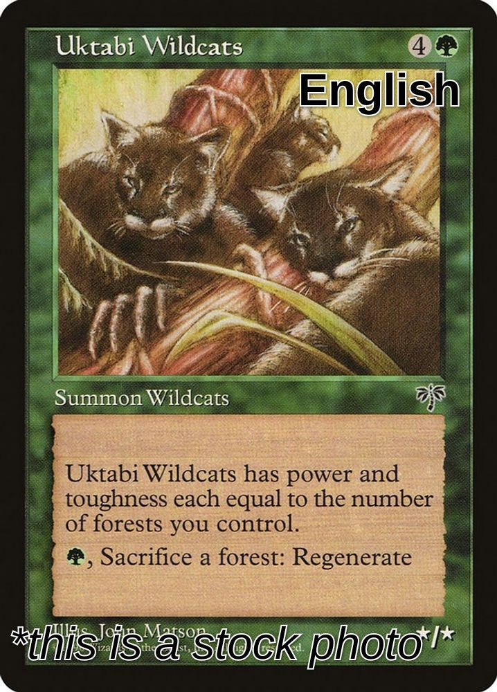 Uktabi Wildcats