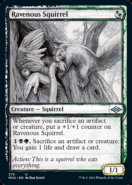 Ravenous Squirrel (Sketch) [Modern Horizons 2]