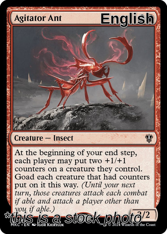 Agitator Ant