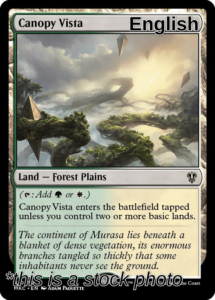 Canopy Vista