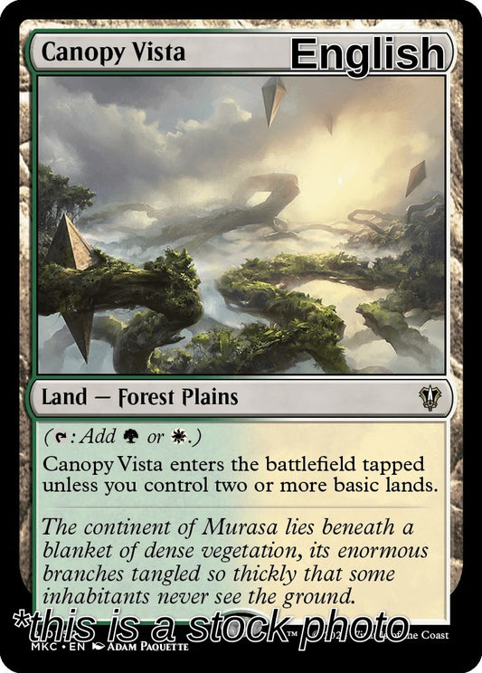 Canopy Vista