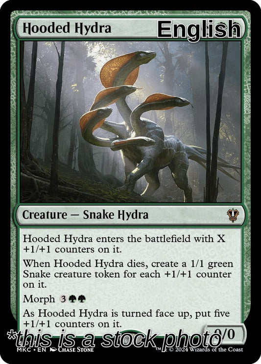 Hooded Hydra