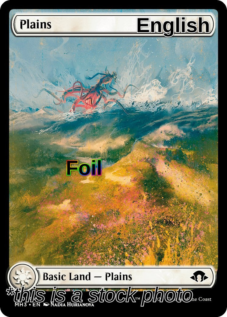 Plains (0304)