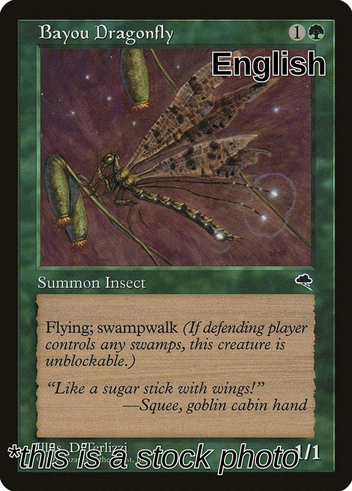 Bayou Dragonfly