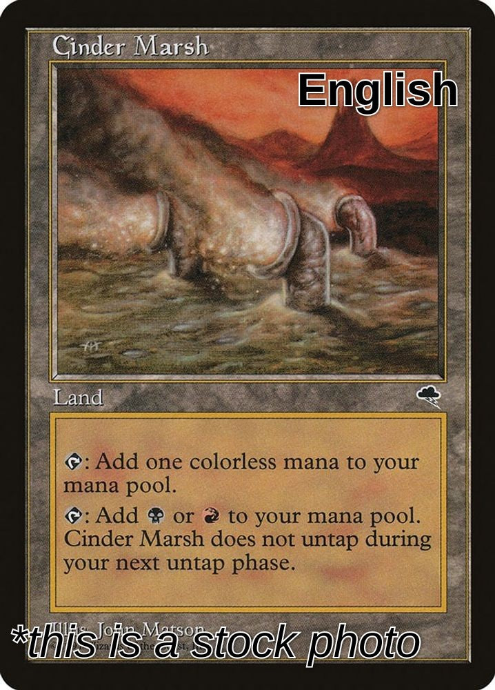 Cinder Marsh