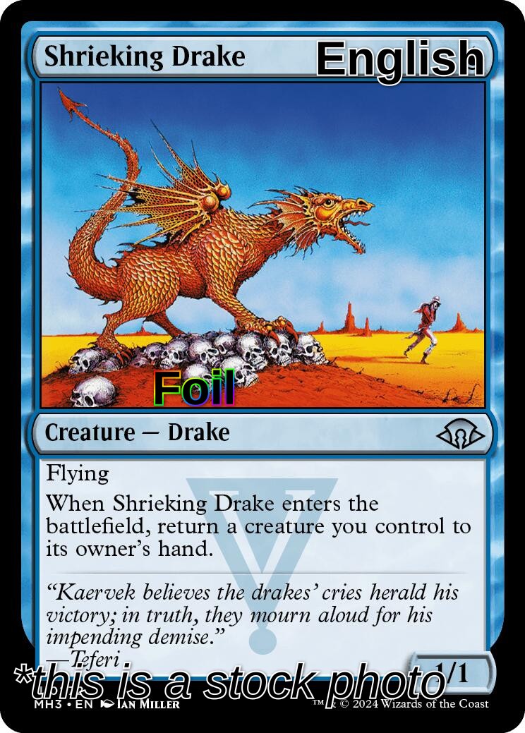 Shrieking Drake
