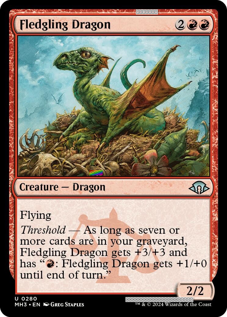 Fledgling Dragon