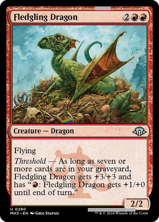 Fledgling Dragon