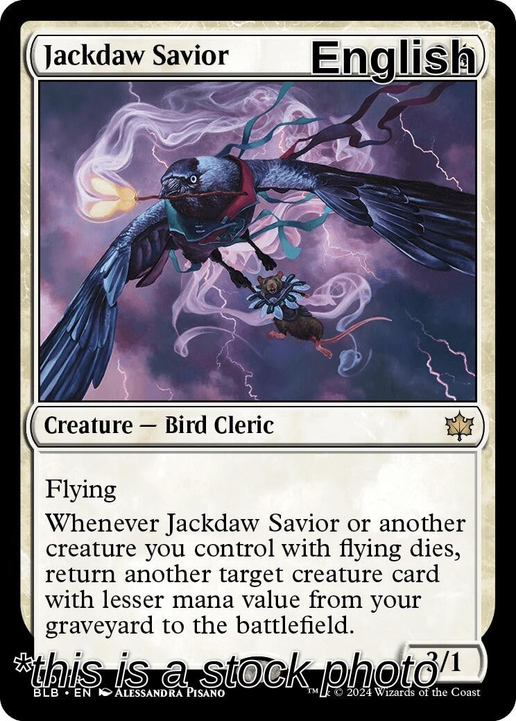 Jackdaw Savior