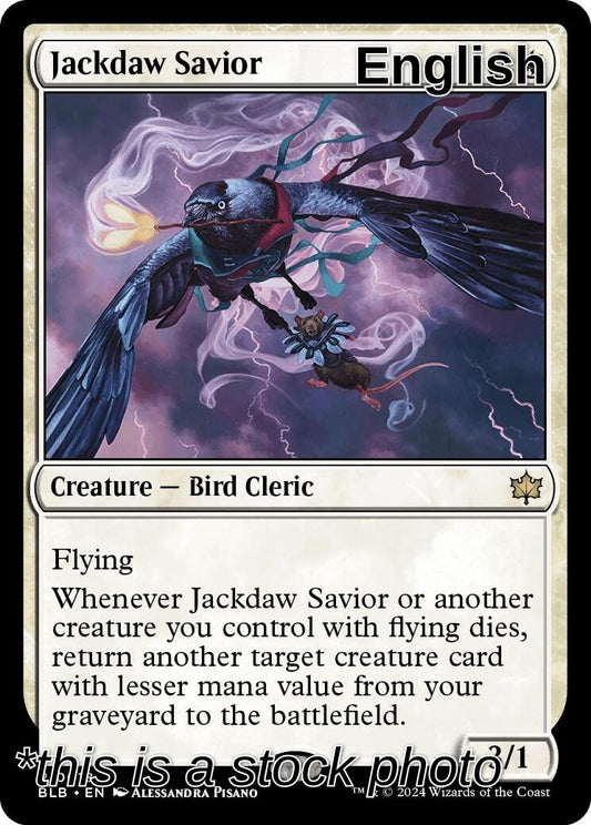 Jackdaw Savior