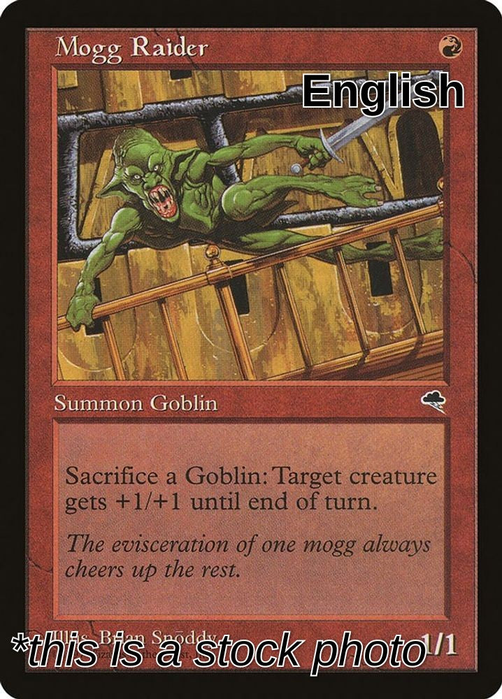 Mogg Raider